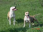     
: DSC07111.jpg
: 18
:	291.4 
ID:	1016715