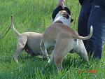     
: DSC07100.jpg
: 13
:	150.0 
ID:	1016729