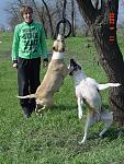     
: DSC07122.jpg
: 16
:	203.1 
ID:	1016732