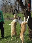     
: DSC07128.jpg
: 15
:	186.3 
ID:	1016733