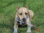     
: DSC07063.jpg
: 15
:	257.5 
ID:	1016756