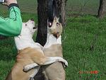     
: DSC07103.jpg
: 16
:	207.5 
ID:	1016765