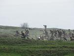     
: IMG_2617.jpg
: 33
:	106.3 
ID:	1016963