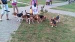     
: 11874530_1619759481626002_185824112_o.jpg
: 70
:	141.1 
ID:	10173585