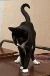     
: DSC_3843.jpg
: 98
:	50.1 
ID:	10183016