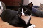     
: DSC_3858.jpg
: 87
:	77.0 
ID:	10183019