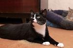     
: DSC_3855.jpg
: 85
:	73.8 
ID:	10183022
