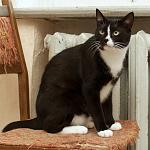    
: DSC_3844.jpg
: 81
:	113.3 
ID:	10183023