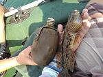     
: IMG_2015-08-10_160858.jpg
: 30
:	188.5 
ID:	10185853