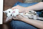     
: IMG_9509.jpg
: 42
:	91.5 
ID:	10187156