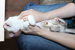     
: IMG_9510.jpg
: 53
:	79.8 
ID:	10187164
