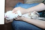     
: IMG_9511.jpg
: 40
:	74.1 
ID:	10187169