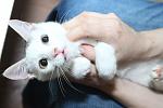     
: IMG_9513.jpg
: 46
:	74.4 
ID:	10187173