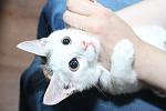     
: IMG_9518.jpg
: 41
:	72.9 
ID:	10187177