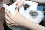     
: IMG_9515.jpg
: 47
:	88.5 
ID:	10187179