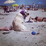     
: wv7NUQW_C88.jpg
: 51
:	121.7 
ID:	10188494
