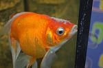     
: DSC_0467.jpg
: 19
:	69.6 
ID:	10196715