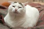     
: DSC_3824.jpg
: 7
:	76.4 
ID:	10199090