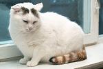     
: DSC_3885_1.jpg
: 6
:	76.0 
ID:	10199091
