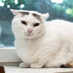     
: DSC_3889.jpg
: 6
:	79.0 
ID:	10199093