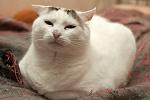     
: DSC_3825.jpg
: 6
:	82.8 
ID:	10199095