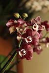     
: IMG_9611.jpg
: 11
:	58.5 
ID:	10199571