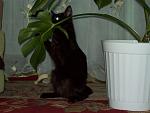     
: 100_1318.jpg
: 14
:	80.3 
ID:	1020024