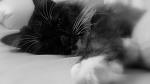     
: IMG_0303.JPG
: 13
:	82.2 
ID:	1020064