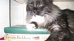     
: IMG_0310.JPG
: 25
:	141.9 
ID:	1020067