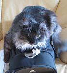     
: IMG_0323.JPG
: 16
:	274.8 
ID:	1020068