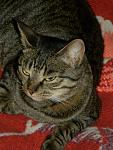     
: DSCN2031.jpg
: 14
:	104.2 
ID:	10201302