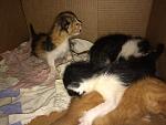     
: zZFwa0my5AY.jpg
: 4
:	113.9 
ID:	10202925