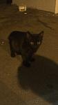     
: GZc6_J5u_Nw.jpg
: 8
:	80.6 
ID:	10207229