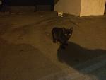     
: OkM8bZ71ysM.jpg
: 11
:	125.3 
ID:	10207231