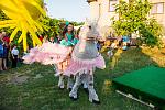     
: DSC_0646.jpg
: 35
:	224.0 
ID:	10208756