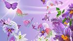     
: 380248__blowing-in-the-wind_p.jpg
: 93
:	97.6 
ID:	10211153