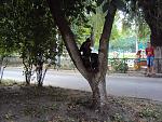     
: DSC04428.jpg
: 23
:	241.4 
ID:	10222943