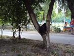     
: DSC04429.jpg
: 22
:	207.7 
ID:	10222945