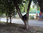     
: DSC04427.jpg
: 11
:	195.9 
ID:	10222946
