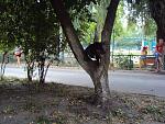     
: DSC04430.jpg
: 21
:	216.6 
ID:	10222948