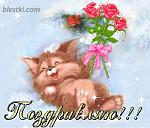     
: image.jpg
: 50
:	62.7 
ID:	10223599