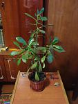    
: DSC07375.jpg
: 54
:	76.8 
ID:	10224190
