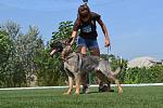     
: DSC_0061.jpg
: 42
:	167.2 
ID:	10224804