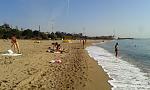     
: 20150826_085458.jpg
: 38
:	134.3 
ID:	10225061
