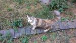     
: IMAG1747.jpg
: 14
:	177.4 
ID:	10228755
