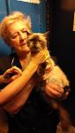     
: IMG_20150826_200005.jpg
: 9
:	51.2 
ID:	10228812