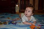     
: DSC_0319.jpg
: 73
:	104.8 
ID:	10234064