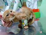     
: IMG_20150829_103055.jpg
: 20
:	120.6 
ID:	10235796