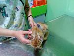     
: IMG_20150829_103120.jpg
: 24
:	110.3 
ID:	10235799