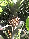     
: Photo0069.jpg
: 6
:	61.6 
ID:	10237032